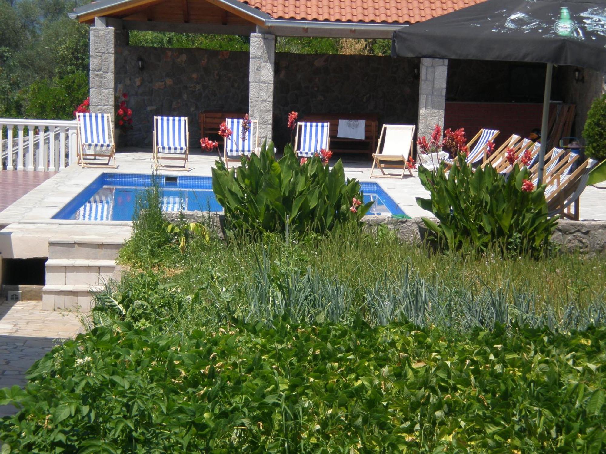 Lazarevic Tivat