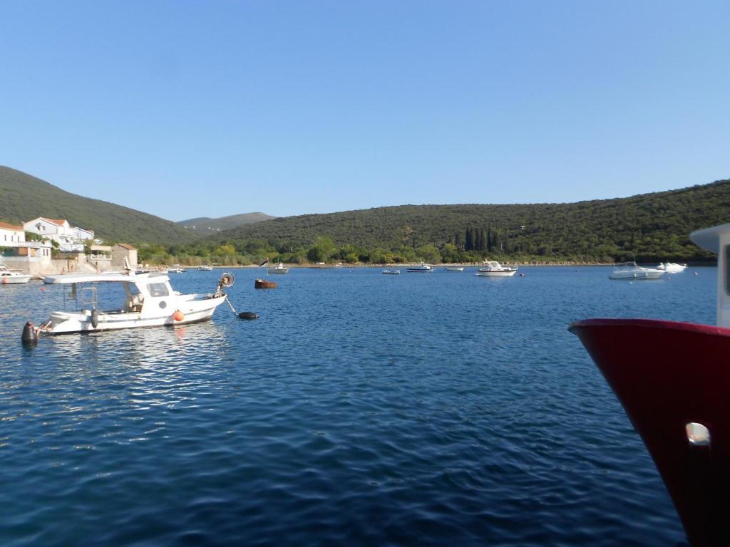 Lazarevic Tivat