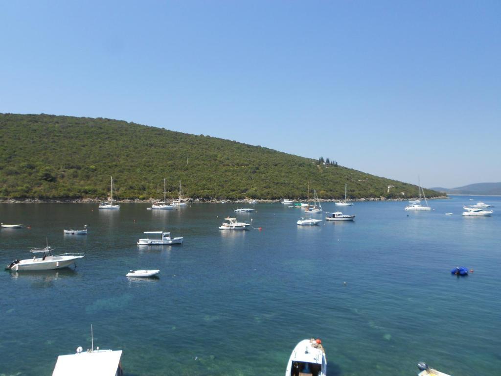 Apartment Lazarevic Tivat