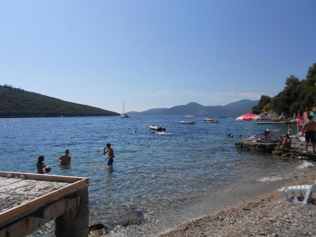Lazarevic Tivat
